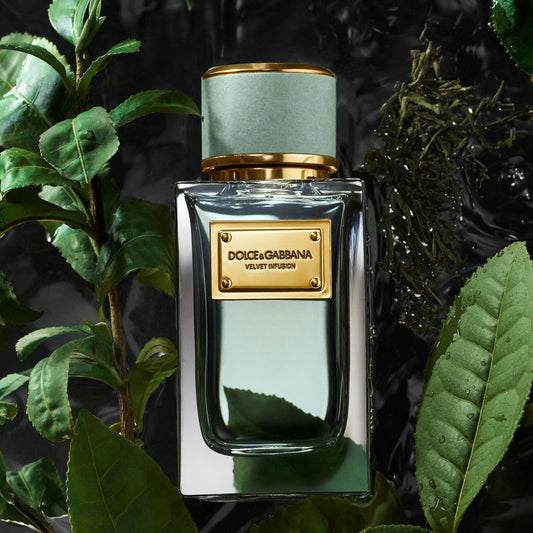 Dolce & Gabbana Velvet Infusion 100ml Tester