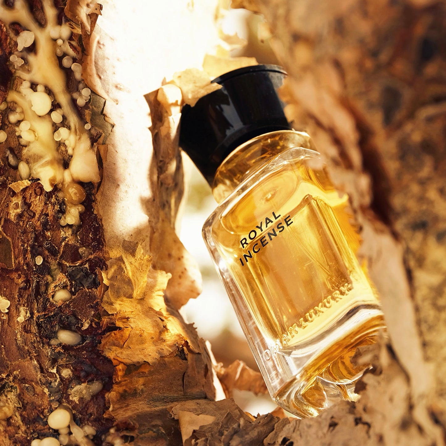 Oman Luxury Royal Incense 100ml