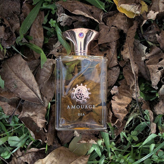 Amouage Dia Man 100ml