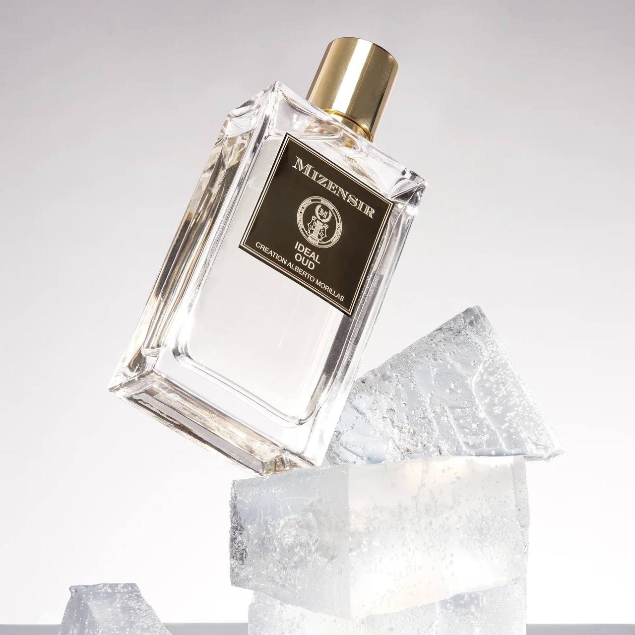 Mizensir Ideal Oud 100ml