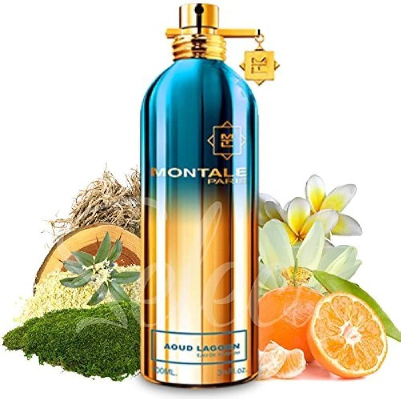 Montale Aoud Lagoon 100ml
