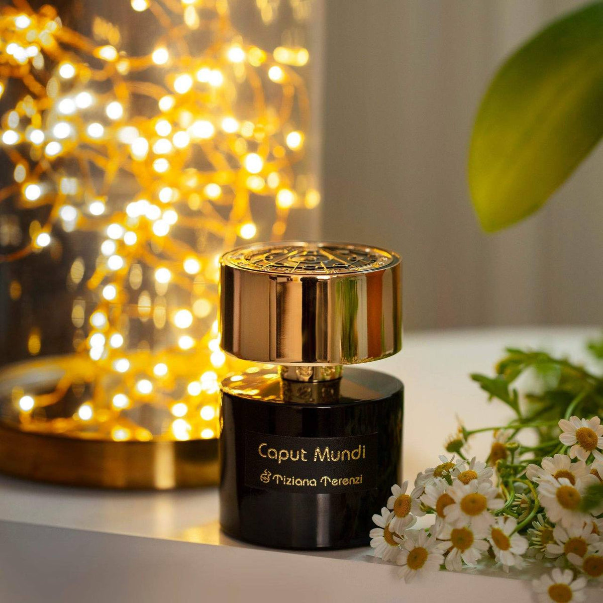 Tiziana Terenzi Caput Mundi 100ml