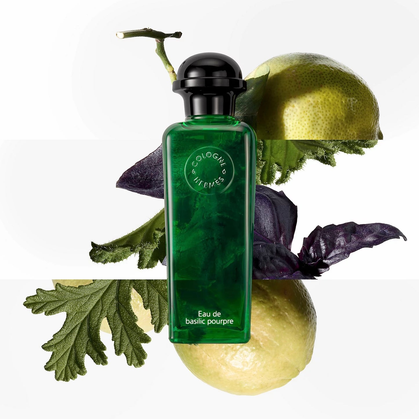 Hermes Eau De Basilic Pourpre 100ml