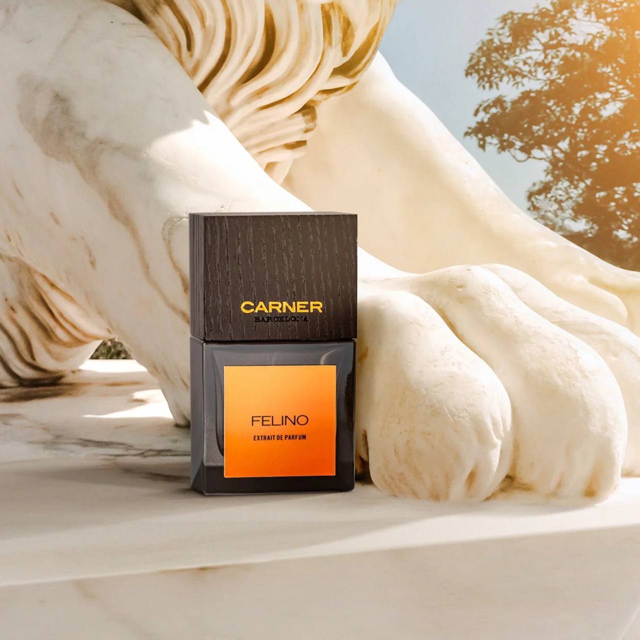 Carner Barcelona Felino 50ml