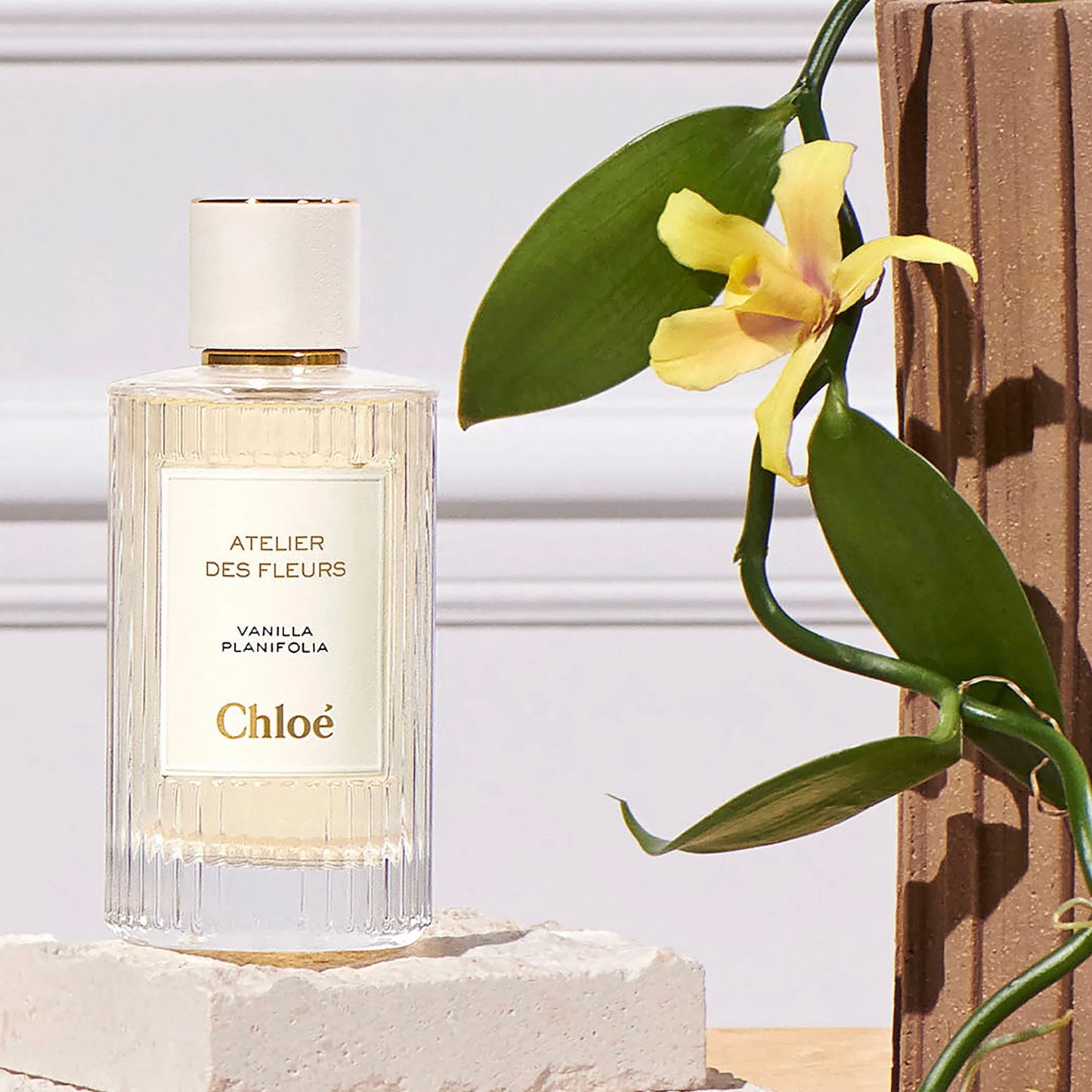 Chloe Vanilla Planifolia 150ml