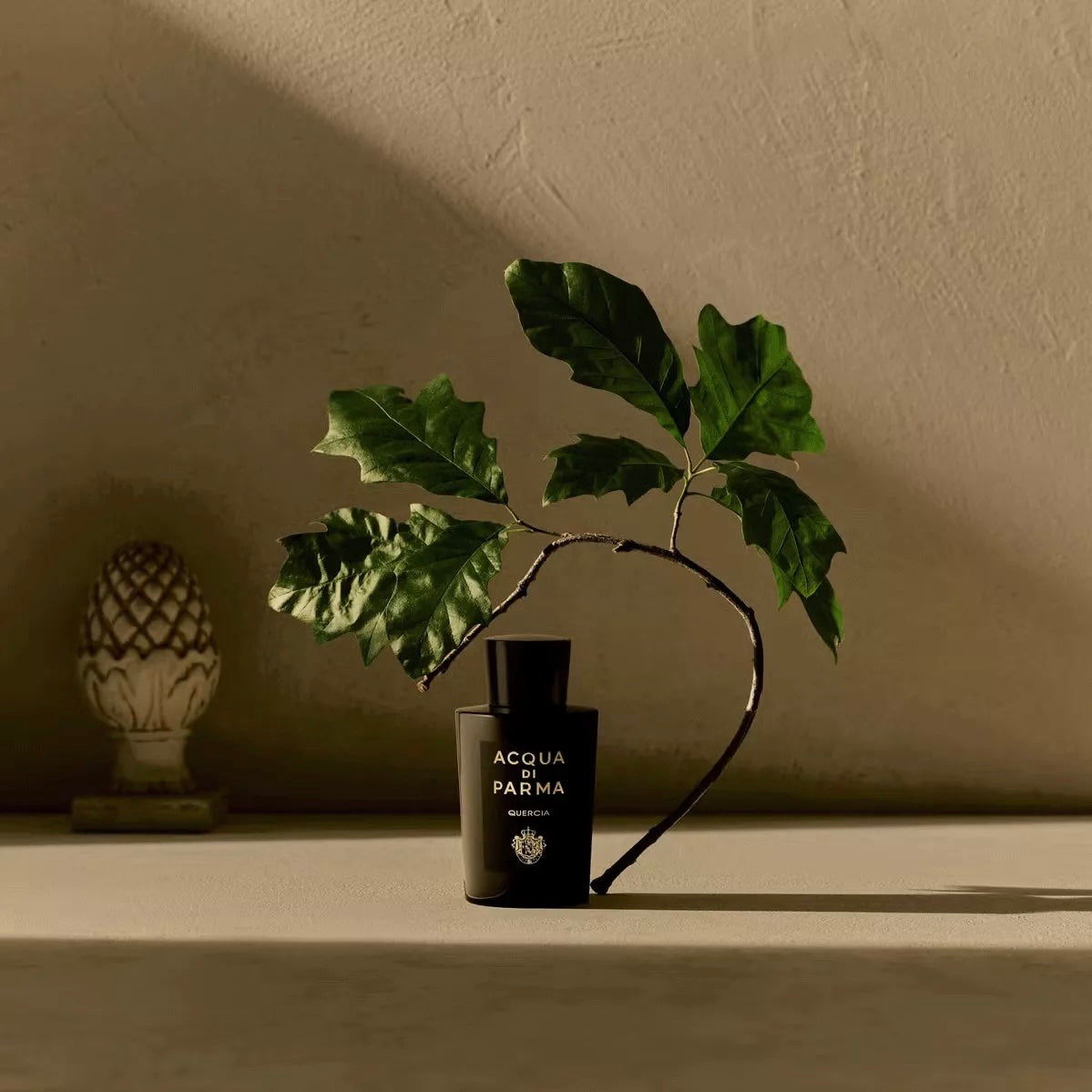 Aqua Di Parma Quercia 100ml Tester