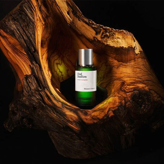 Maison Crivelli Oud Stallion 50ml