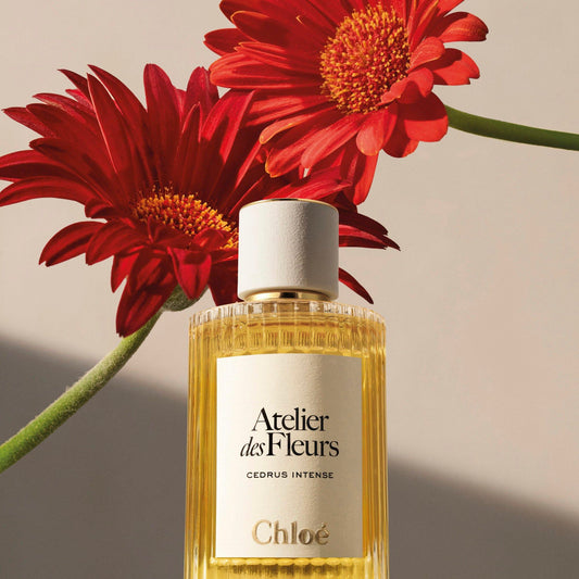 Chloe Cedurs Intense 150ml