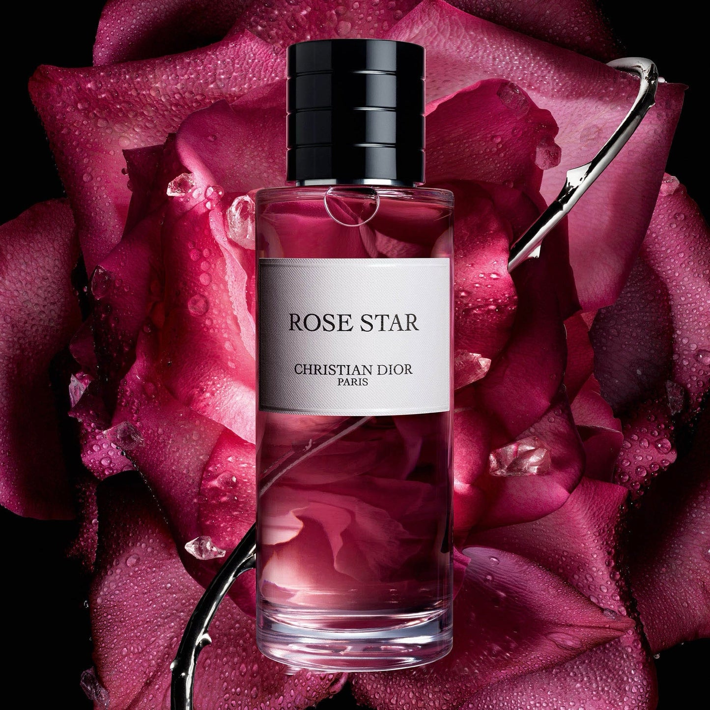 Christian Dior Rose Star 200ml Tester
