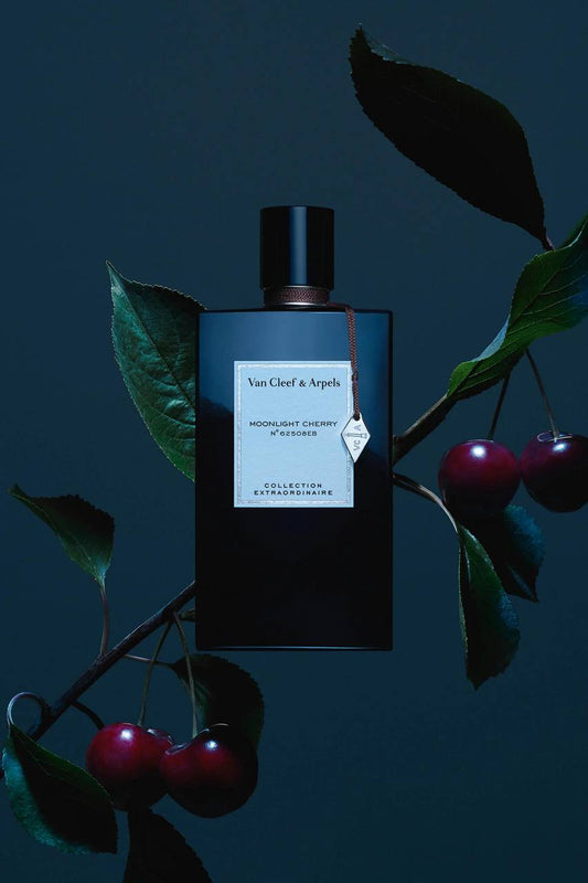 Van Cleef Moonlight Cherry perfume